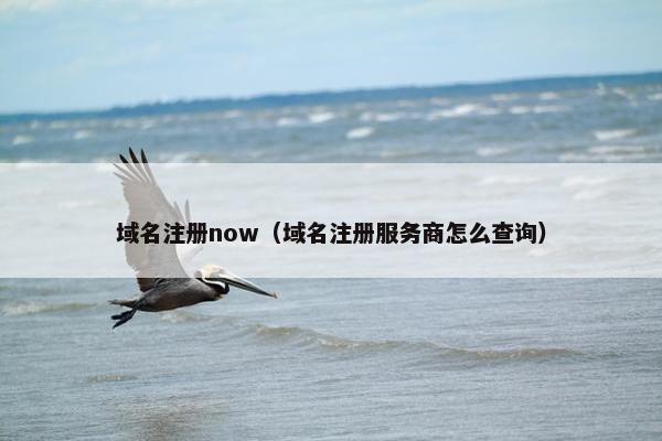 域名注册now（域名注册服务商怎么查询）