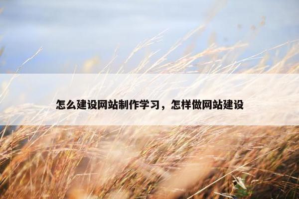 怎么建设网站制作学习，怎样做网站建设