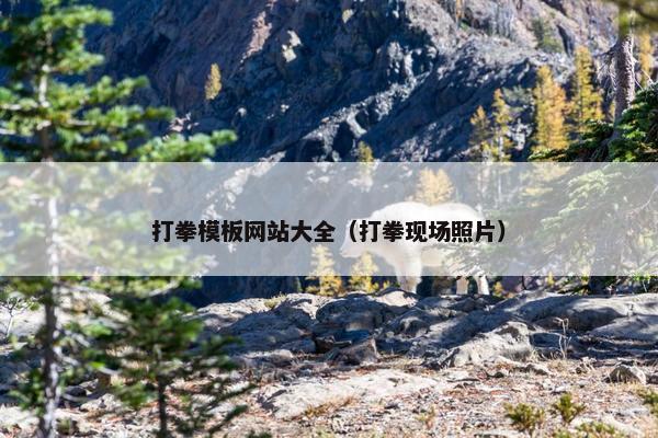 打拳模板网站大全（打拳现场照片）