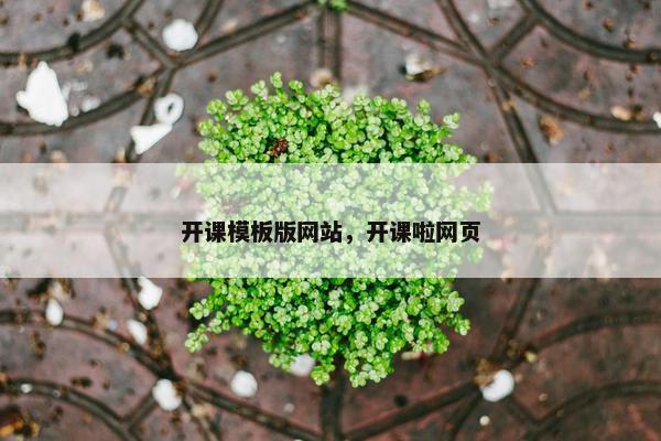 开课模板版网站，开课啦网页