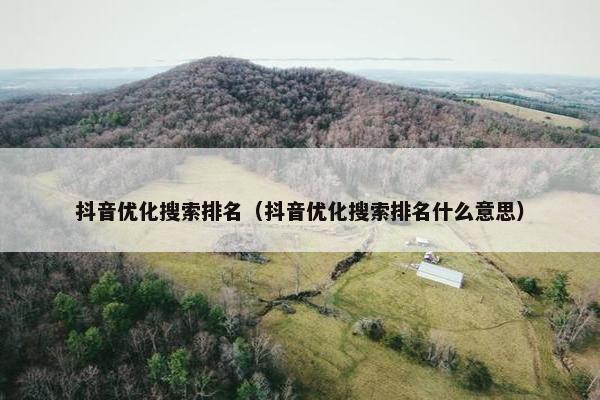 抖音优化搜索排名（抖音优化搜索排名什么意思）