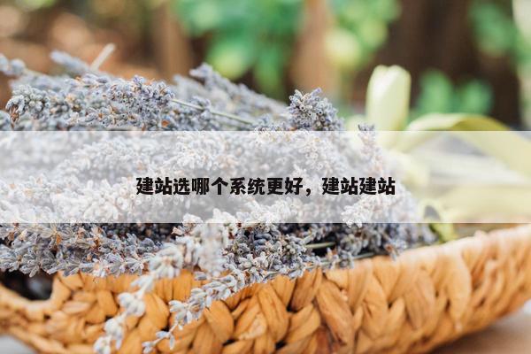 建站选哪个系统更好，建站建站