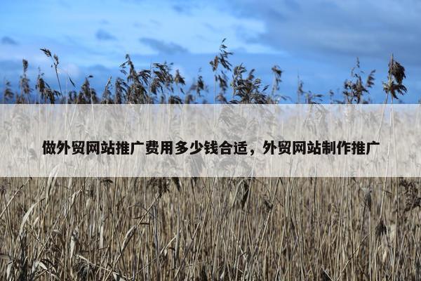 做外贸网站推广费用多少钱合适，外贸网站制作推广