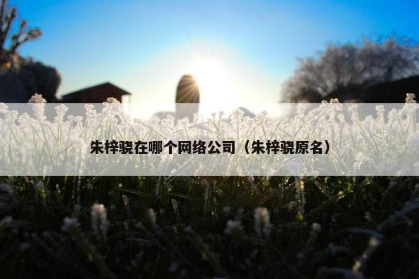 朱梓骁在哪个网络公司（朱梓骁原名）