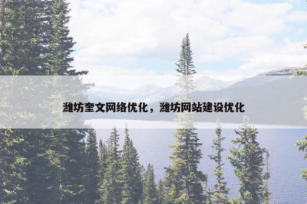 潍坊奎文网络优化，潍坊网站建设优化