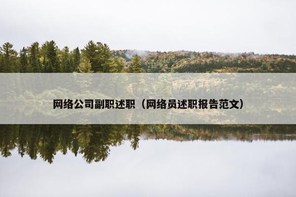网络公司副职述职（网络员述职报告范文）