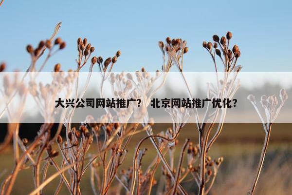 大兴公司网站推广？ 北京网站推广优化？