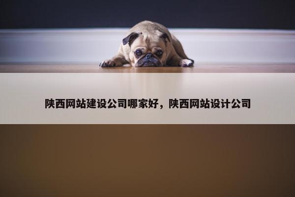 陕西网站建设公司哪家好，陕西网站设计公司