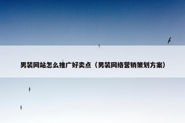 男装网站怎么推广好卖点（男装网络营销策划方案）