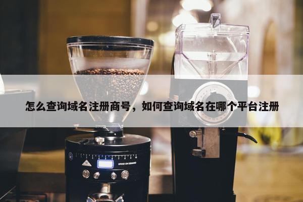怎么查询域名注册商号，如何查询域名在哪个平台注册