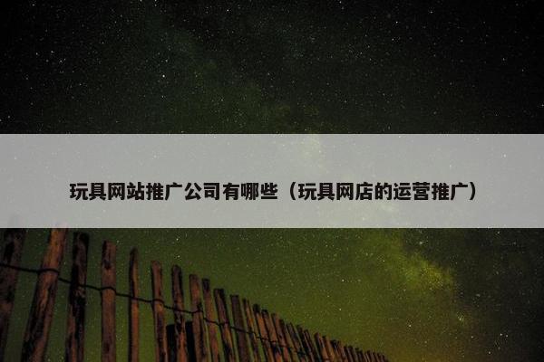 玩具网站推广公司有哪些（玩具网店的运营推广）