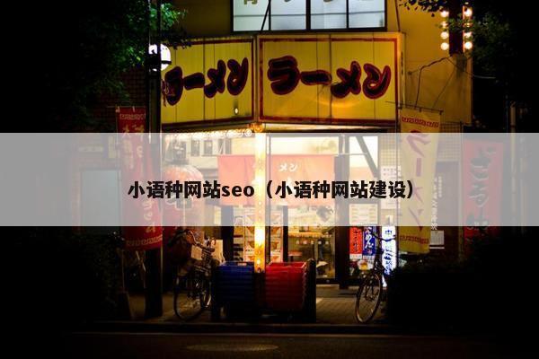 小语种网站seo（小语种网站建设）