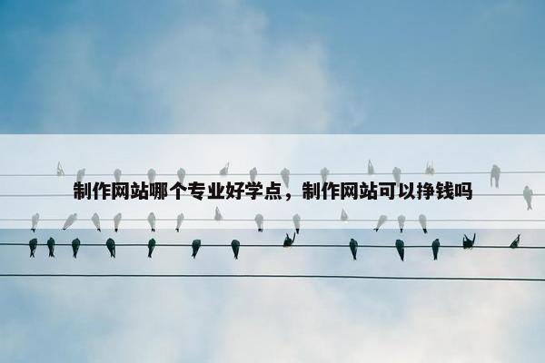 制作网站哪个专业好学点，制作网站可以挣钱吗