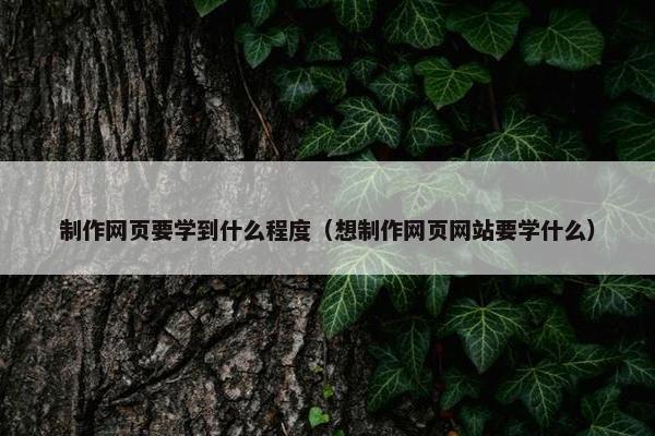 制作网页要学到什么程度（想制作网页网站要学什么）