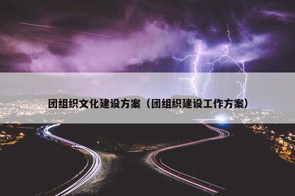 团组织文化建设方案（团组织建设工作方案）