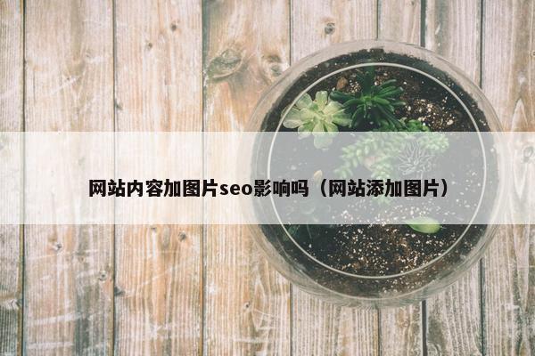 网站内容加图片seo影响吗（网站添加图片）
