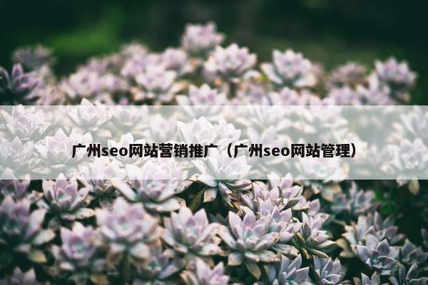 广州seo网站营销推广（广州seo网站管理）