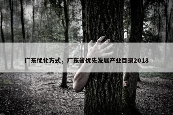 广东优化方式，广东省优先发展产业目录2018