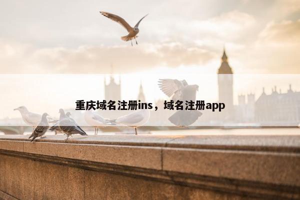 重庆域名注册ins，域名注册app