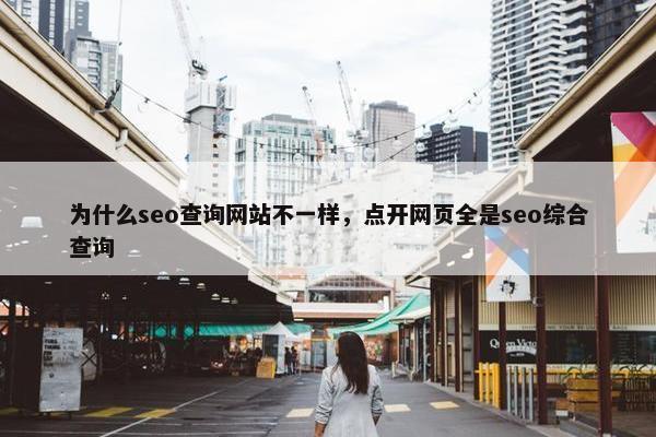 为什么seo查询网站不一样，点开网页全是seo综合查询
