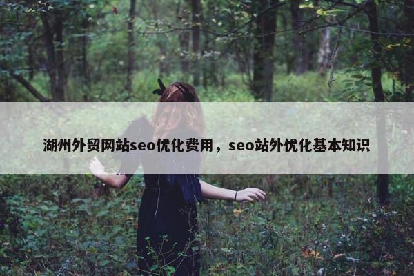湖州外贸网站seo优化费用，seo站外优化基本知识