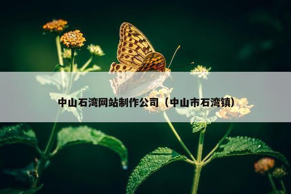 中山石湾网站制作公司（中山市石湾镇）