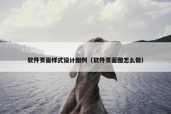 软件页面样式设计图例（软件页面图怎么做）