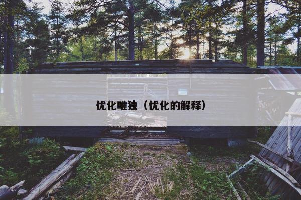 优化唯独（优化的解释）