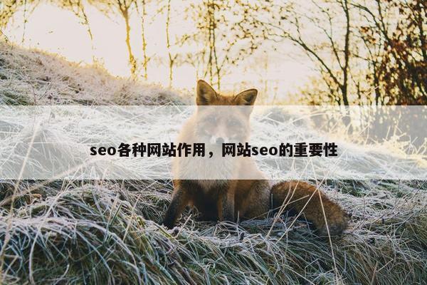 seo各种网站作用，网站seo的重要性