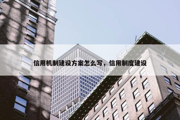信用机制建设方案怎么写，信用制度建设