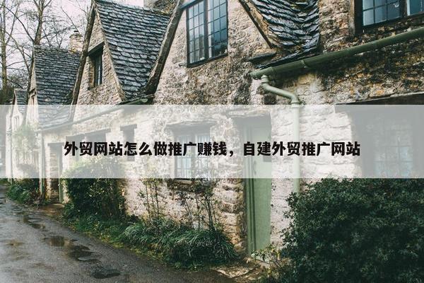 外贸网站怎么做推广赚钱，自建外贸推广网站
