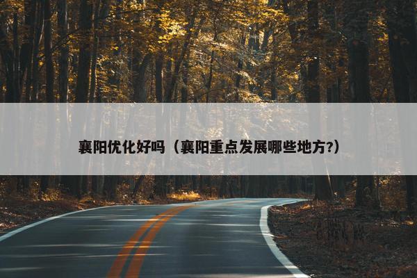 襄阳优化好吗（襄阳重点发展哪些地方?）