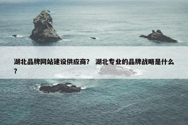 湖北品牌网站建设供应商？ 湖北专业的品牌战略是什么？