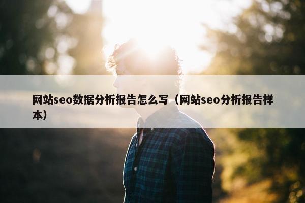 网站seo数据分析报告怎么写（网站seo分析报告样本）