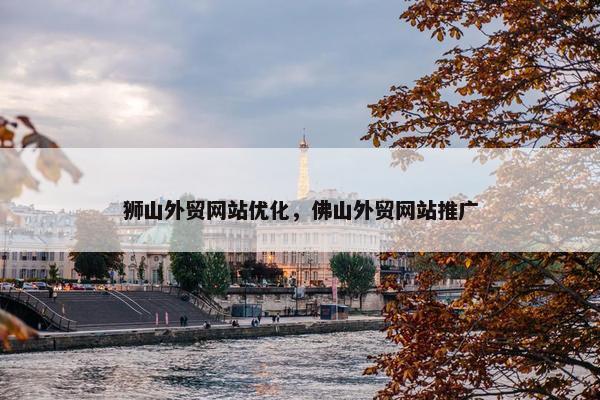 狮山外贸网站优化，佛山外贸网站推广