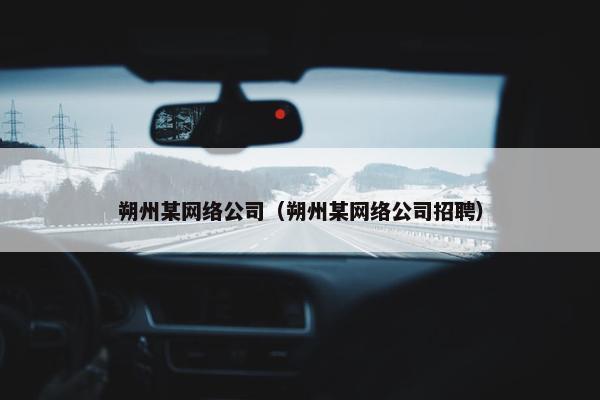 朔州某网络公司（朔州某网络公司招聘）