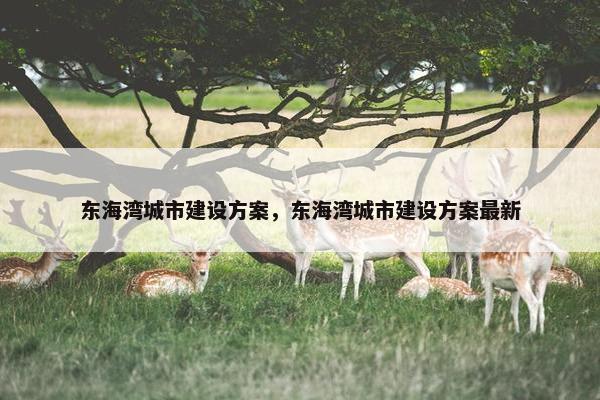 东海湾城市建设方案，东海湾城市建设方案最新