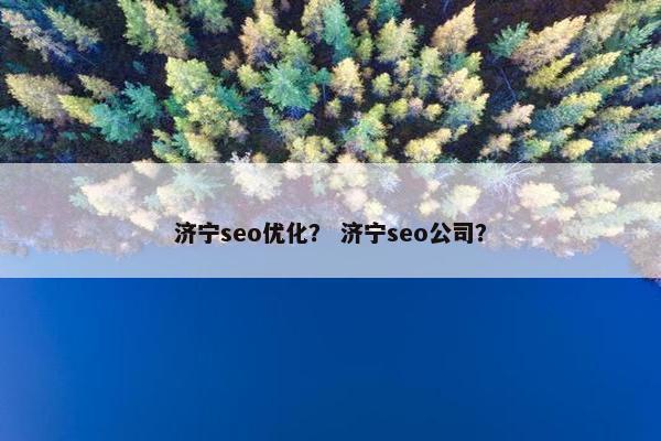 济宁seo优化？ 济宁seo公司？