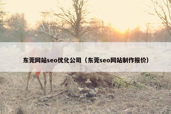 东莞网站seo优化公司（东莞seo网站制作报价）