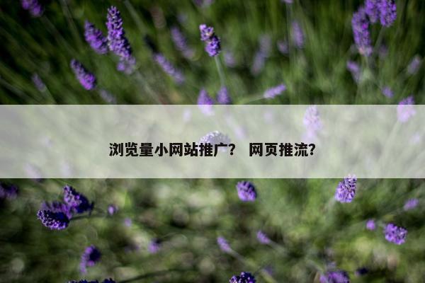 浏览量小网站推广？ 网页推流？