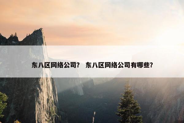 东八区网络公司？ 东八区网络公司有哪些？