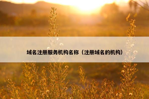 域名注册服务机构名称（注册域名的机构）