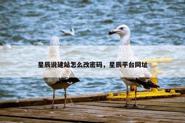 星辰说建站怎么改密码，星辰平台网址