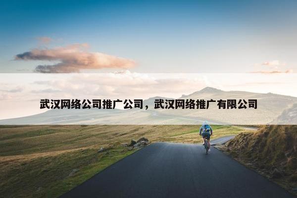 武汉网络公司推广公司，武汉网络推广有限公司