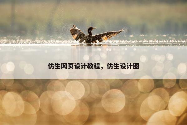 仿生网页设计教程，仿生设计图