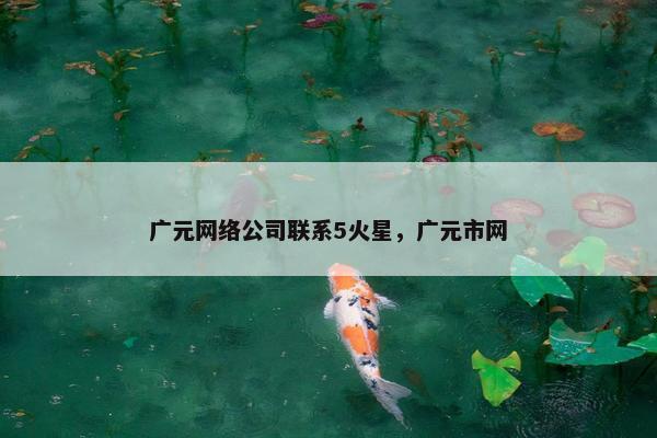 广元网络公司联系5火星，广元市网