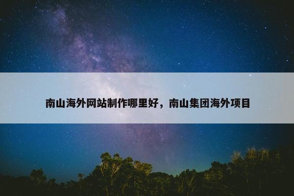 南山海外网站制作哪里好，南山集团海外项目