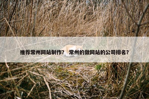 推荐常州网站制作？ 常州的做网站的公司排名？