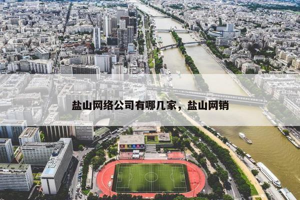 盐山网络公司有哪几家，盐山网销