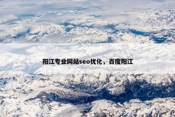 阳江专业网站seo优化，百度阳江